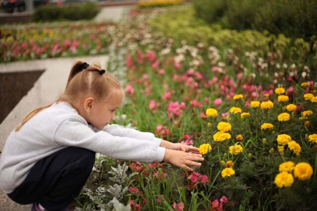legislación recoger flores vía pública