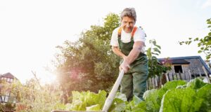 errores evitar huerto julio