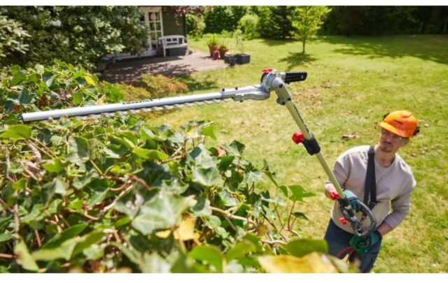 Cortasetos de mango largo Lidl