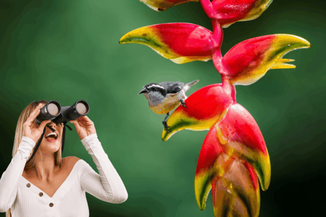 planta que parece un ave