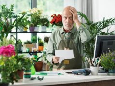 poso café plantas nunca