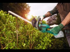 Cortasetos inalámbrico Lidl Parkside a un precio imbatible de 33,99€ Cortasetos inalámbrico Lidl